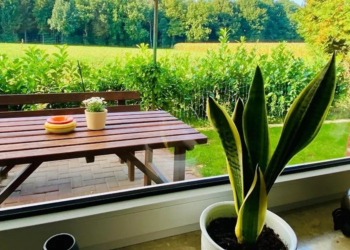 Waldesruh Re12 Ferienhaus Sögel